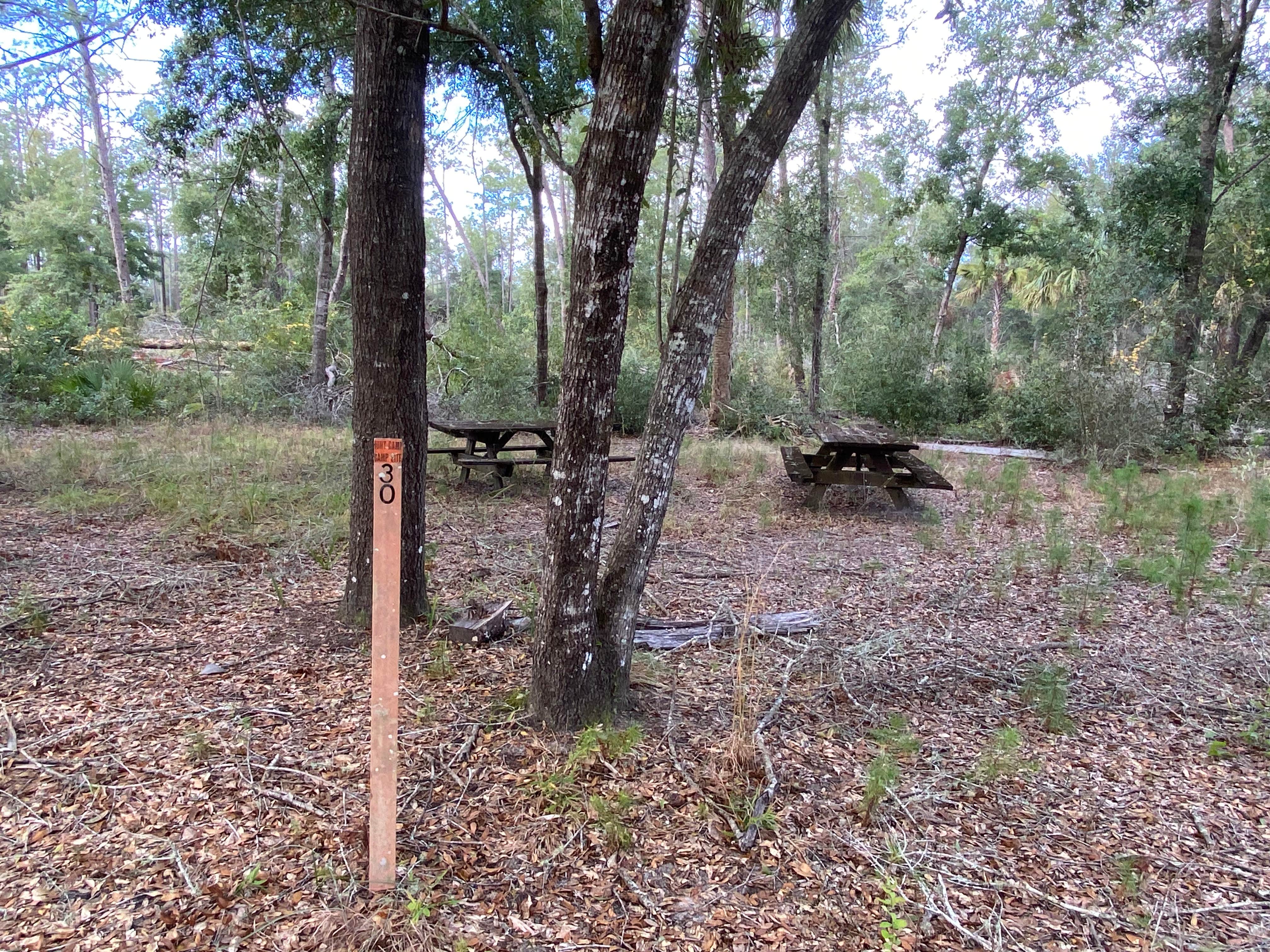 Camper submitted image from Shanty Pond Campground - PERMANENTLY CLOSED - 5