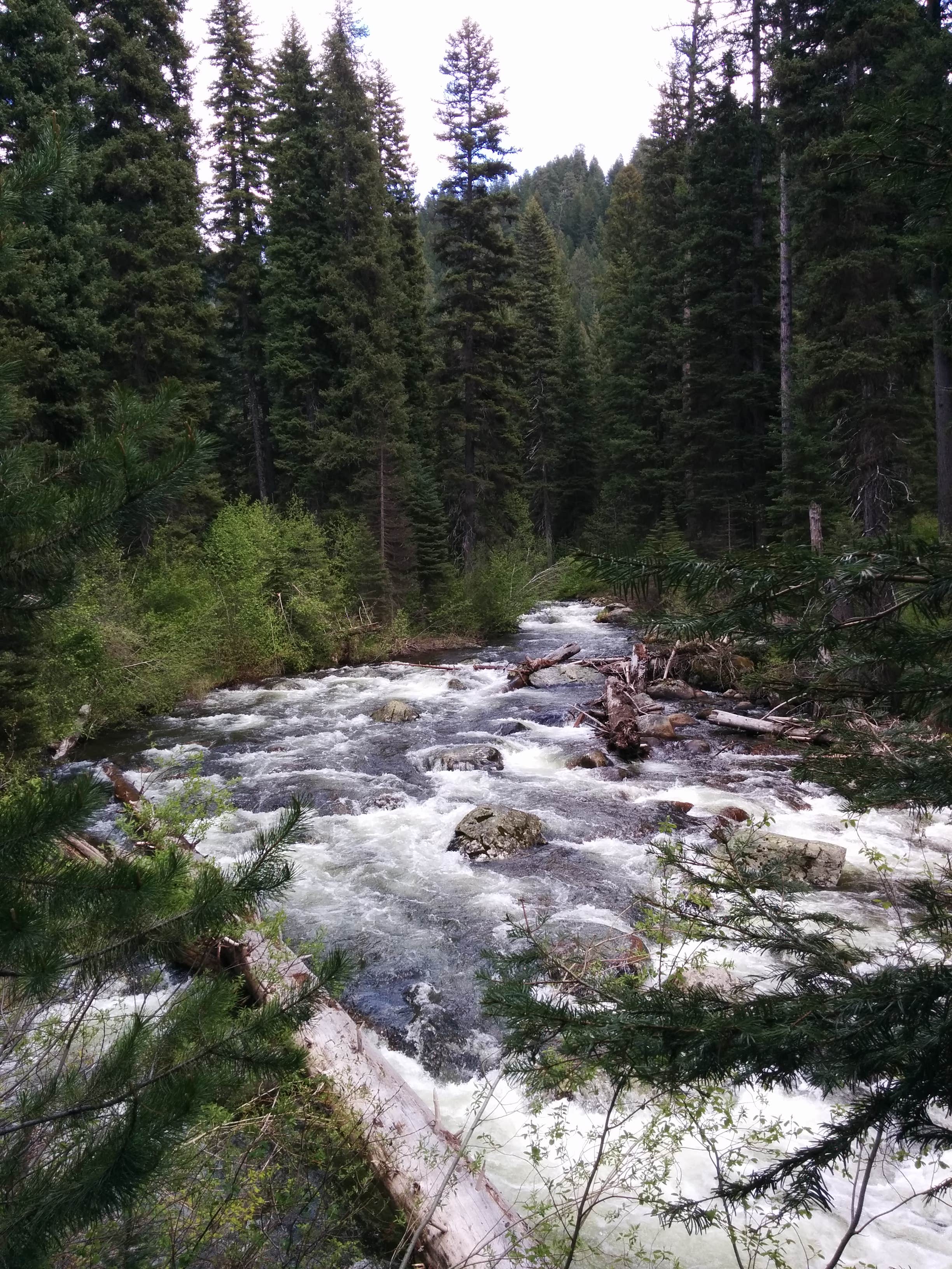 Idaho’s Last Chance: A Campground Paradise For Adventure Seekers