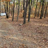 Review photo of Base of North Fork Pinnacle Dispersed, Forest Road 132 by Fred S., December 16, 2024