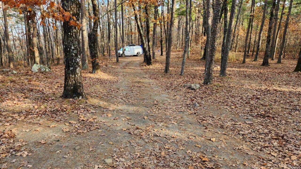 Camper submitted image from Base of North Fork Pinnacle Dispersed, Forest Road 132 - 5