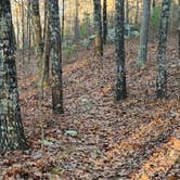Review photo of Base of North Fork Pinnacle Dispersed, Forest Road 132 by Fred S., December 16, 2024