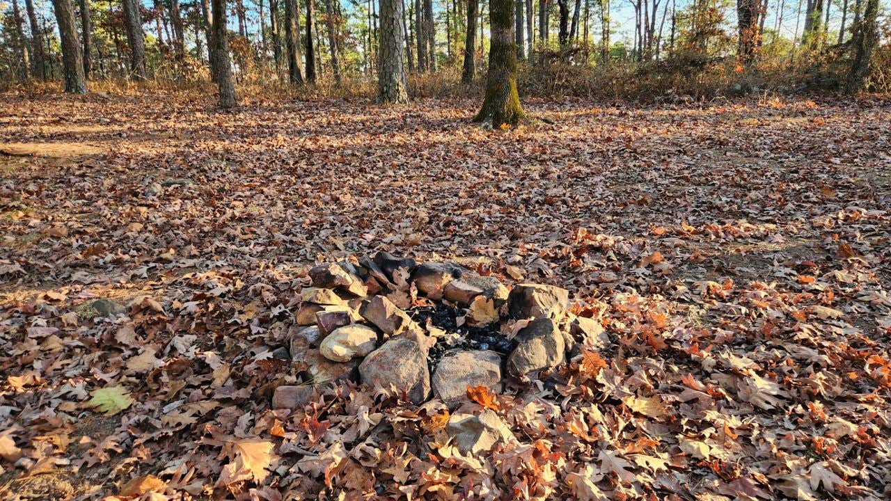 Camper-submitted photo at Base of North Fork Pinnacle Dispersed, Forest Road 132 near Morrilton, AR