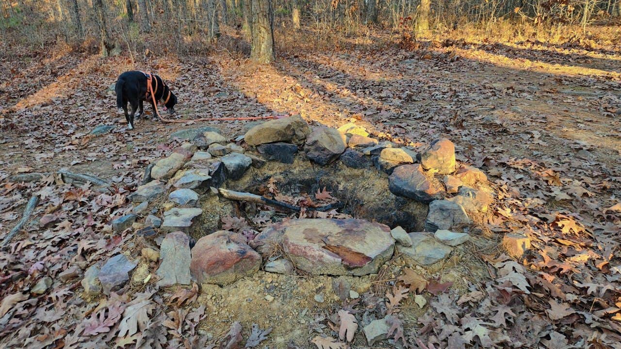 Camper submitted image from Base of North Fork Pinnacle Dispersed, Forest Road 132 - 5
