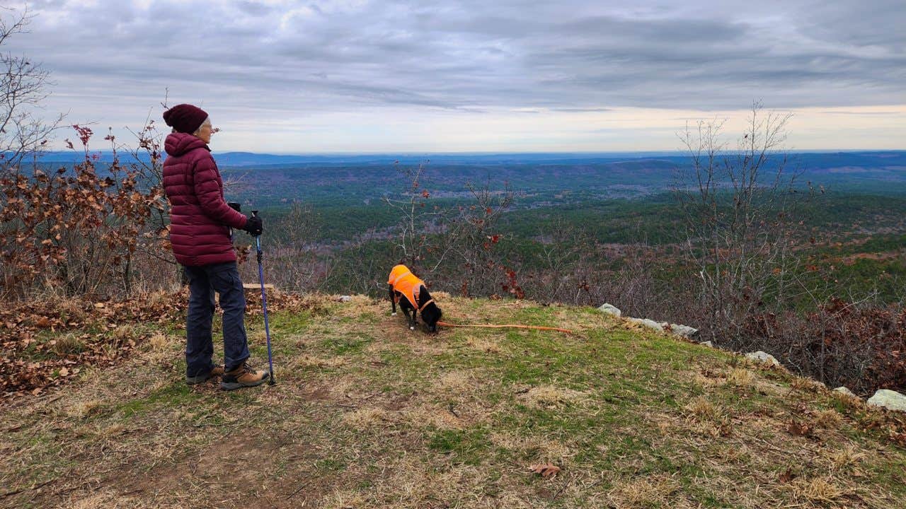 Camper-submitted photo at Base of North Fork Pinnacle Dispersed, Forest Road 132 near Morrilton, AR