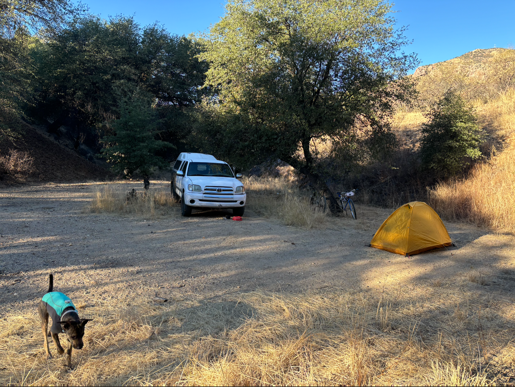 Molly S.'s photo at Harshaw Road Dispersed Camping - San Rafael Canyon near Hereford, AZ