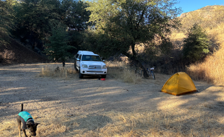 Molly S.'s photo at Harshaw Road Dispersed Camping - San Rafael Canyon near Fort Huachuca, AZ