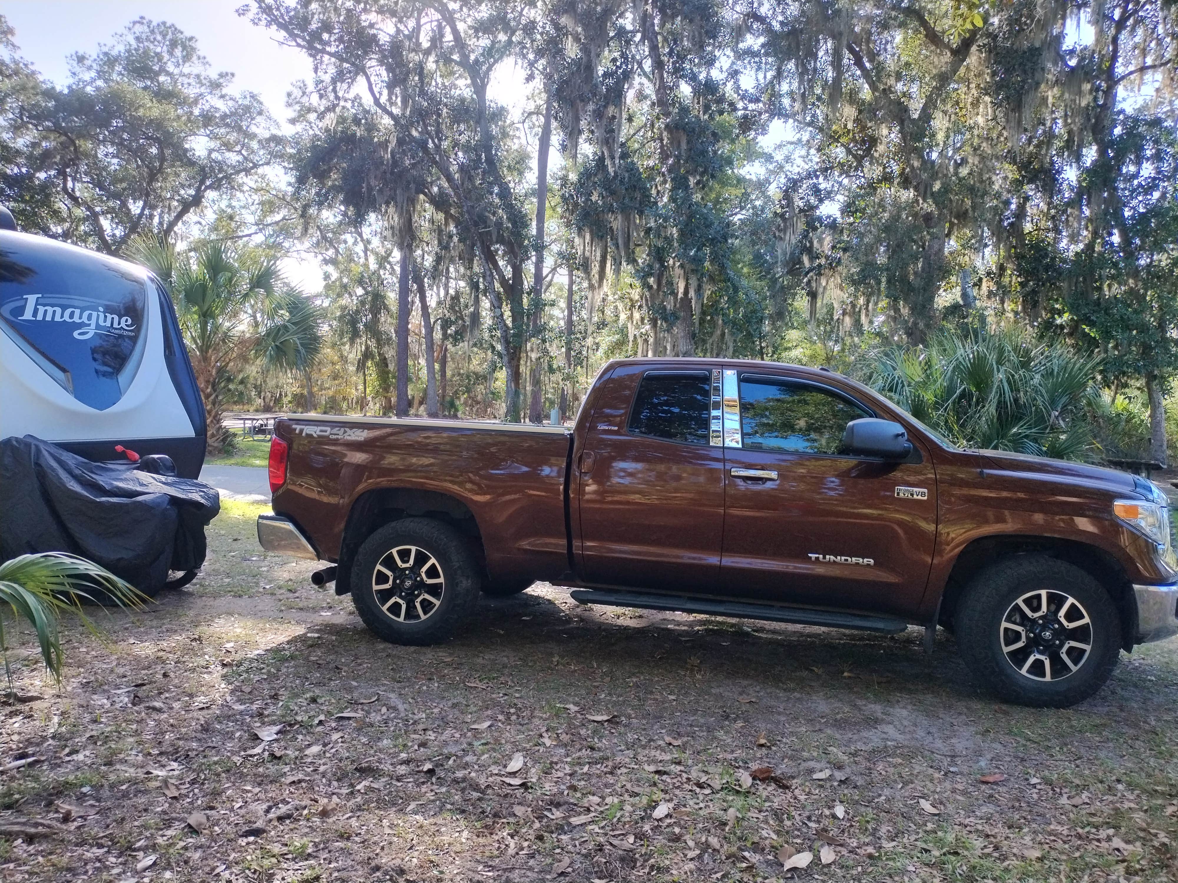 William N.'s photo at Fort McAllister State Park Campground near Savannah, GA