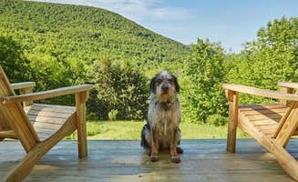 The Dyrt's photo of camping with pets at Roxbury Mile High Club near Roxbury, NY