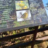 Review photo of Hosmer Grove Campground — Haleakalā National Park by Ryan W., December 23, 2024