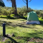 Review photo of Hosmer Grove Campground — Haleakalā National Park by Ryan W., December 23, 2024