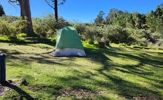 Ryan W.'s photo at Hosmer Grove Campground — Haleakalā National Park in Hawaii