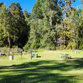 Review photo of Hosmer Grove Campground — Haleakalā National Park by Ryan W., December 23, 2024