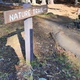 Review photo of Hosmer Grove Campground — Haleakalā National Park by Ryan W., December 23, 2024