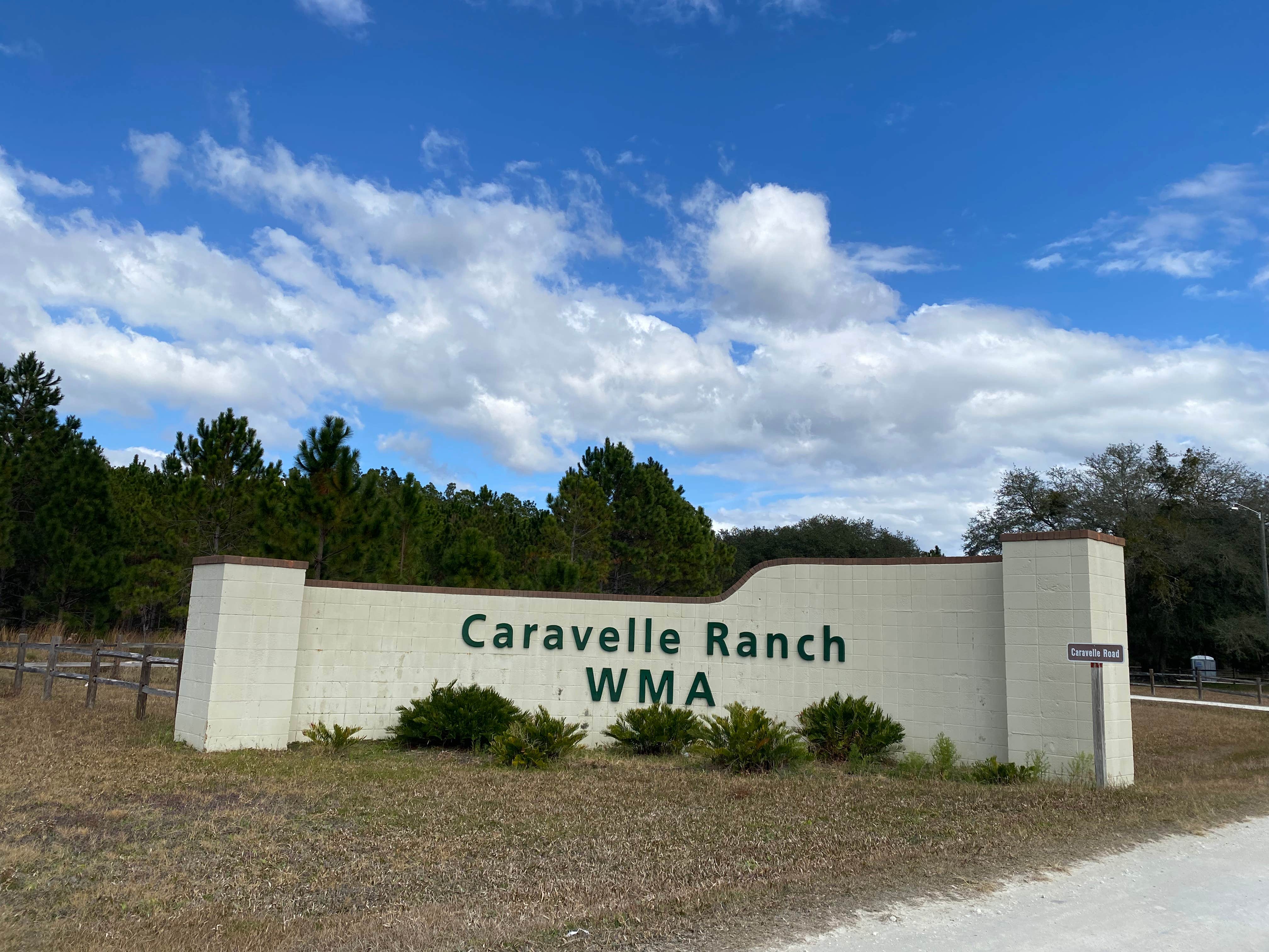 Caravelle Ranch Wildlife Management Area Camping | Welaka, Florida