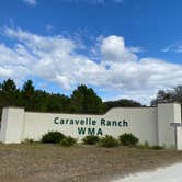 Review photo of Caravelle Ranch Wildlife Management Area by Stuart K., December 24, 2024