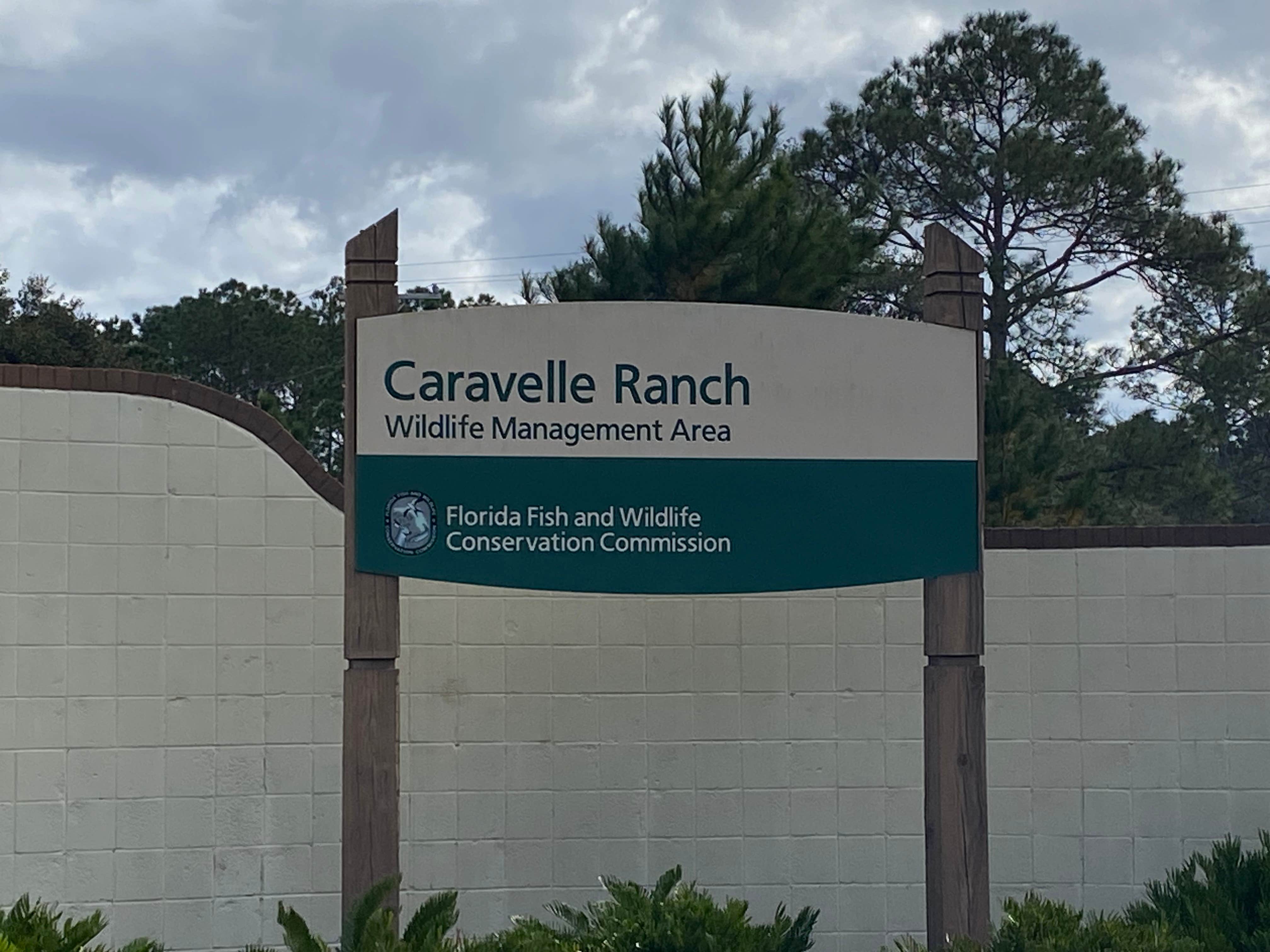 Caravelle Ranch Wildlife Management Area Camping | Welaka, Florida
