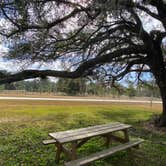 Review photo of Caravelle Ranch Wildlife Management Area by Stuart K., December 24, 2024