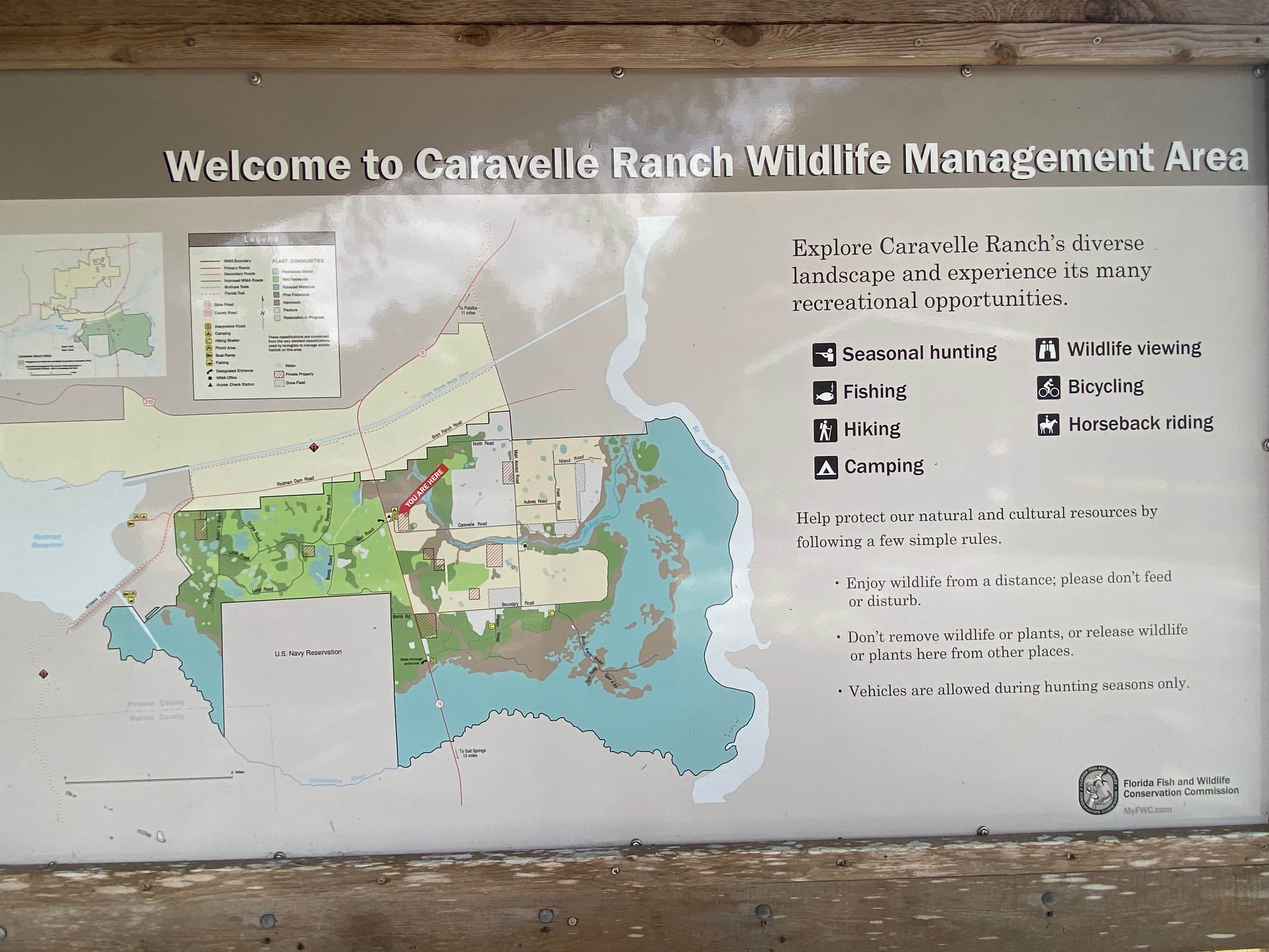 Camper-submitted photo at Caravelle Ranch Wildlife Management Area near Rocky Point, FL