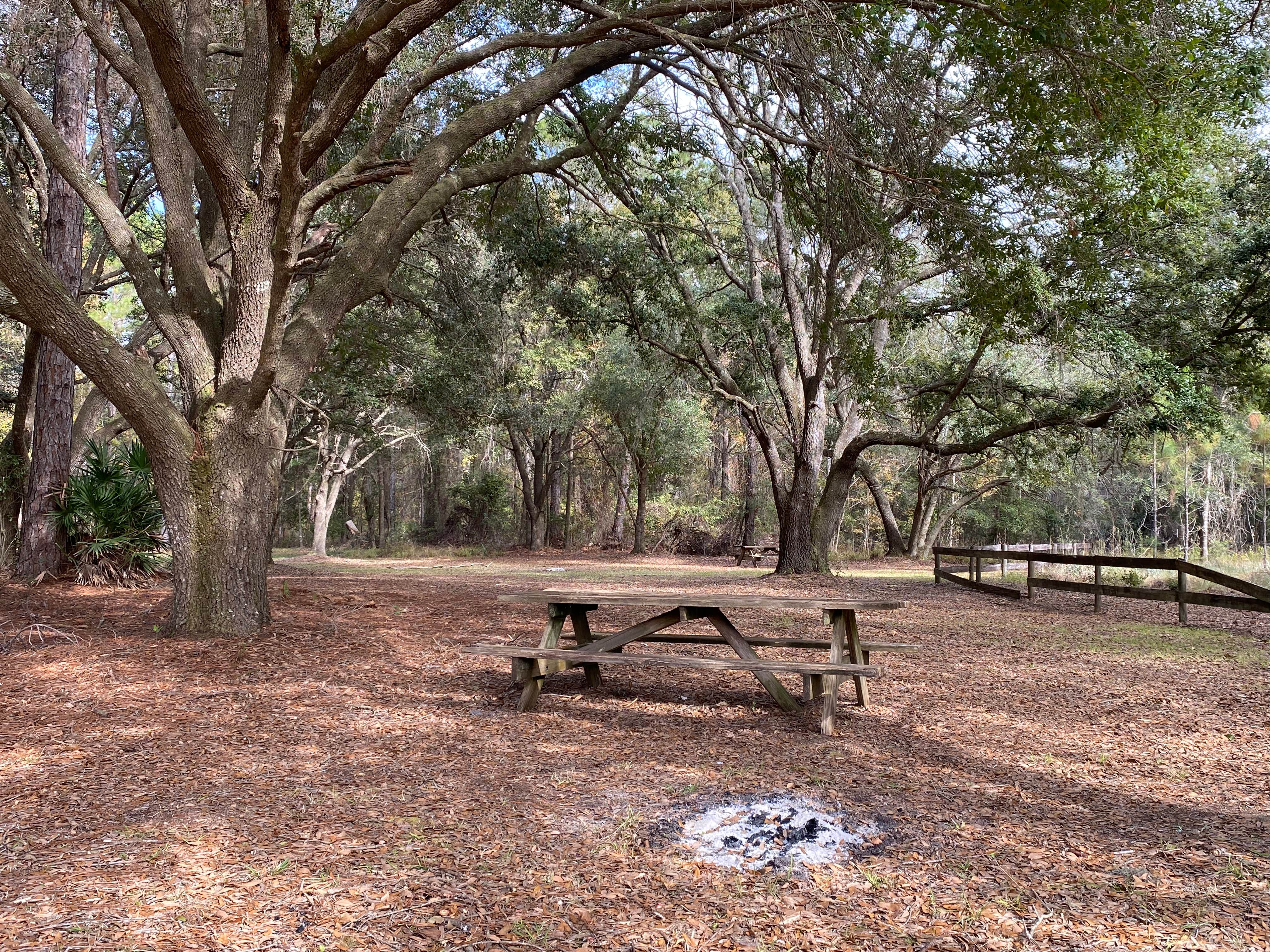 Camper submitted image from Caravelle Ranch Wildlife Management Area - 1