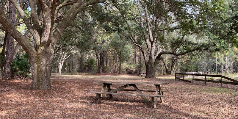 Camper submitted image from Caravelle Ranch Wildlife Management Area