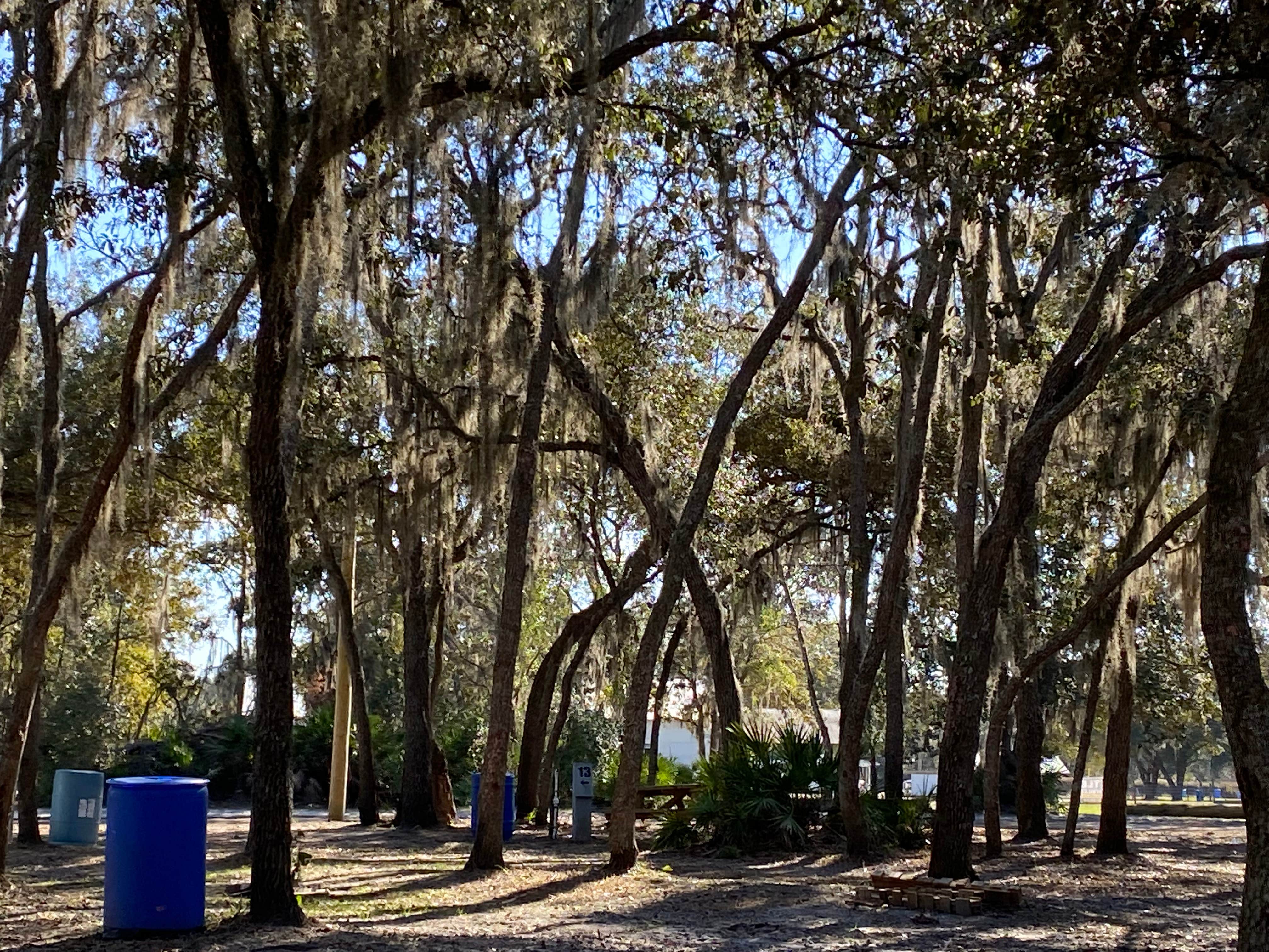 Camper-submitted photo at Hog Waller Mud Campground & ATV Resort near Welaka, FL