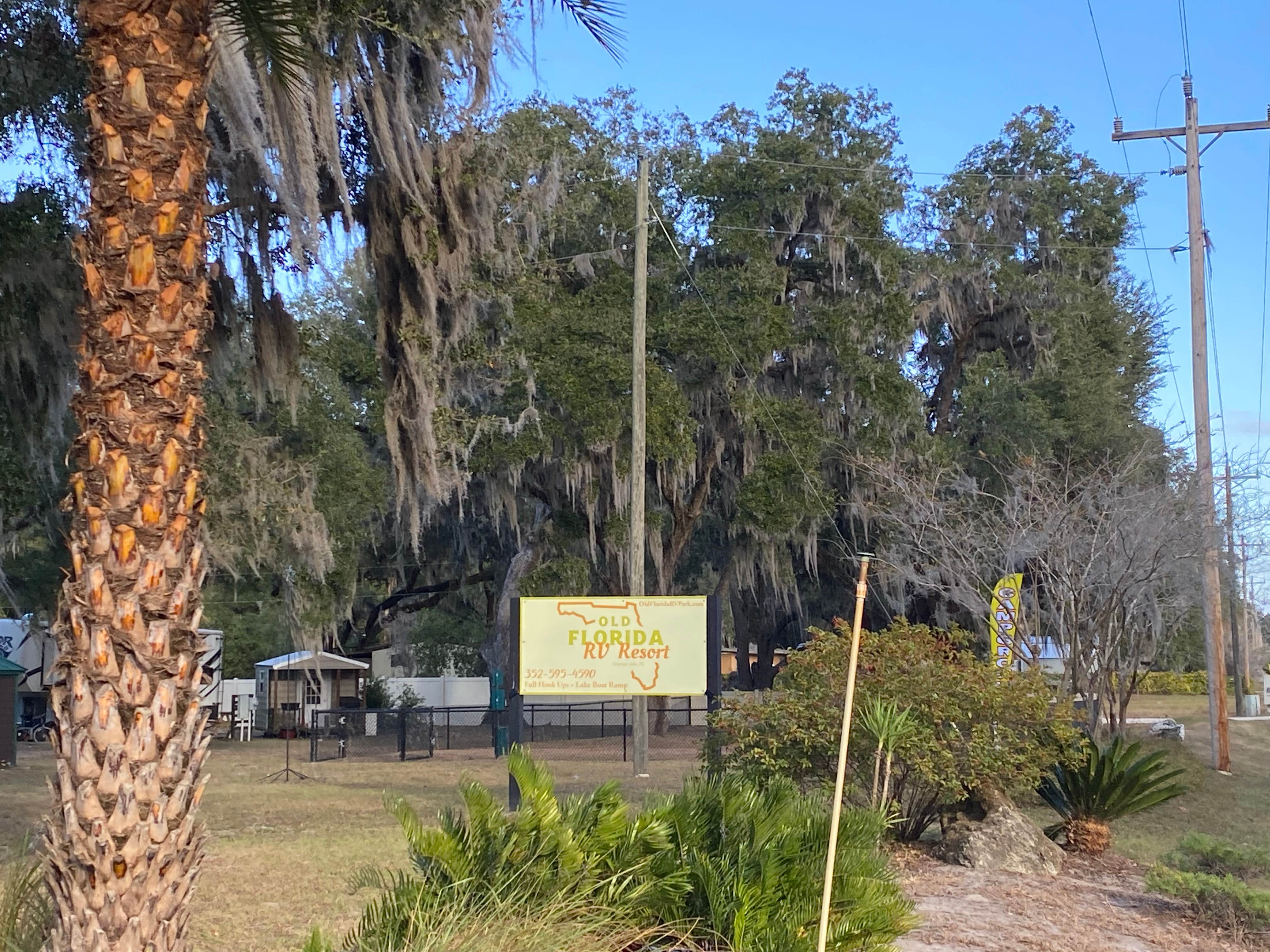 Camper-submitted photo at Old Florida RV Resort near Citra, FL