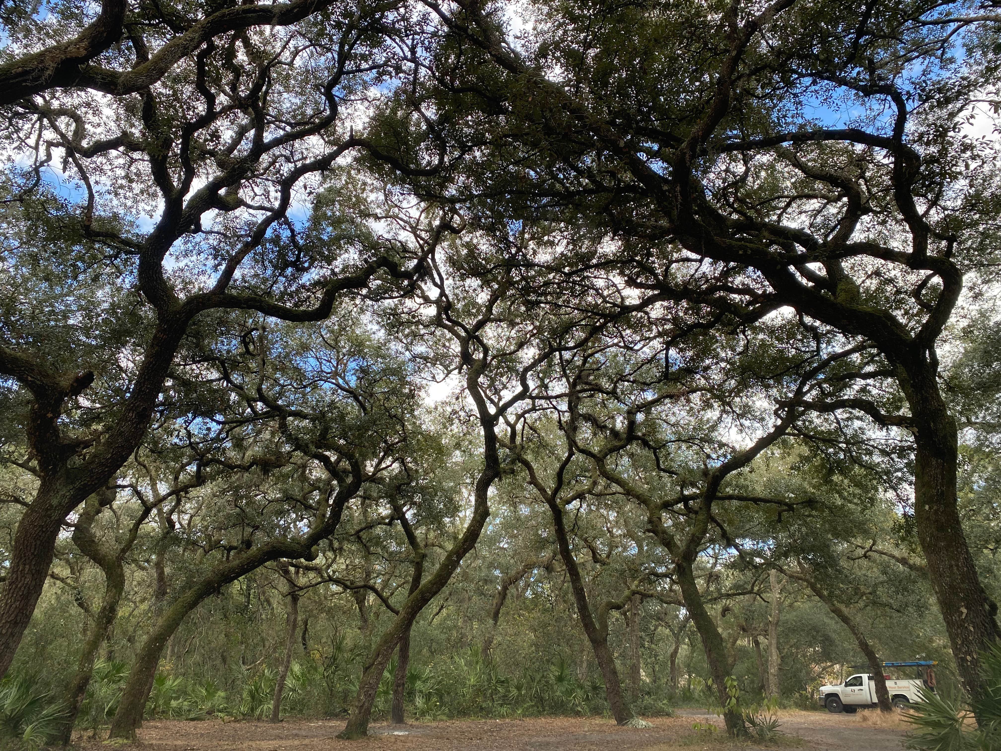 Camper-submitted photo at Davenport Landing near Georgetown, FL