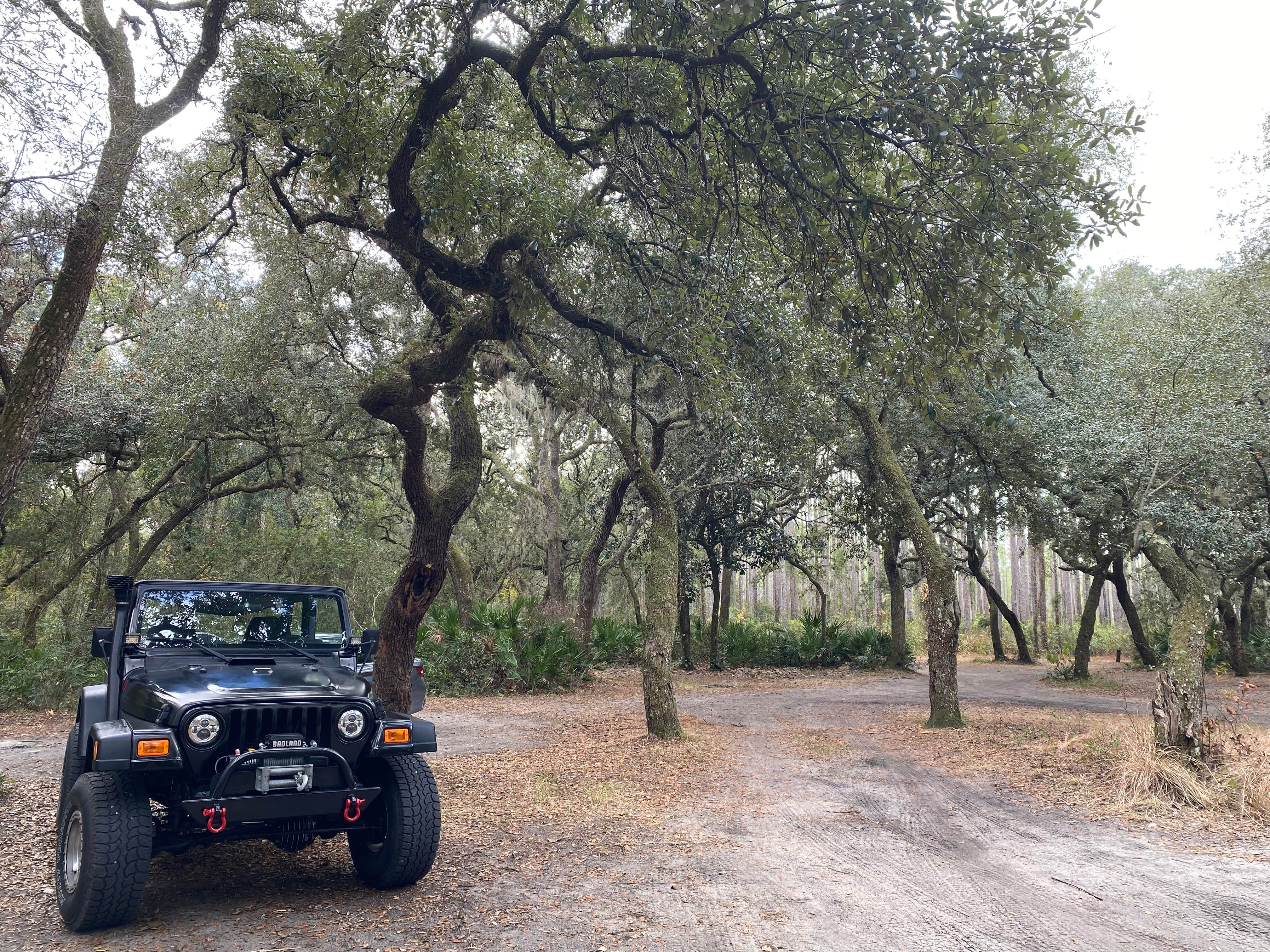 Camper-submitted photo at Davenport Landing near Georgetown, FL