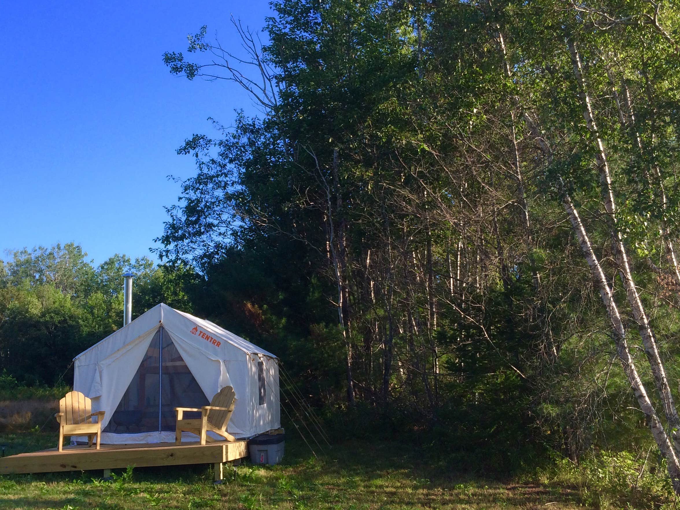 The Dyrt's photo at Pond Site Paradise near Spruce Head, ME
