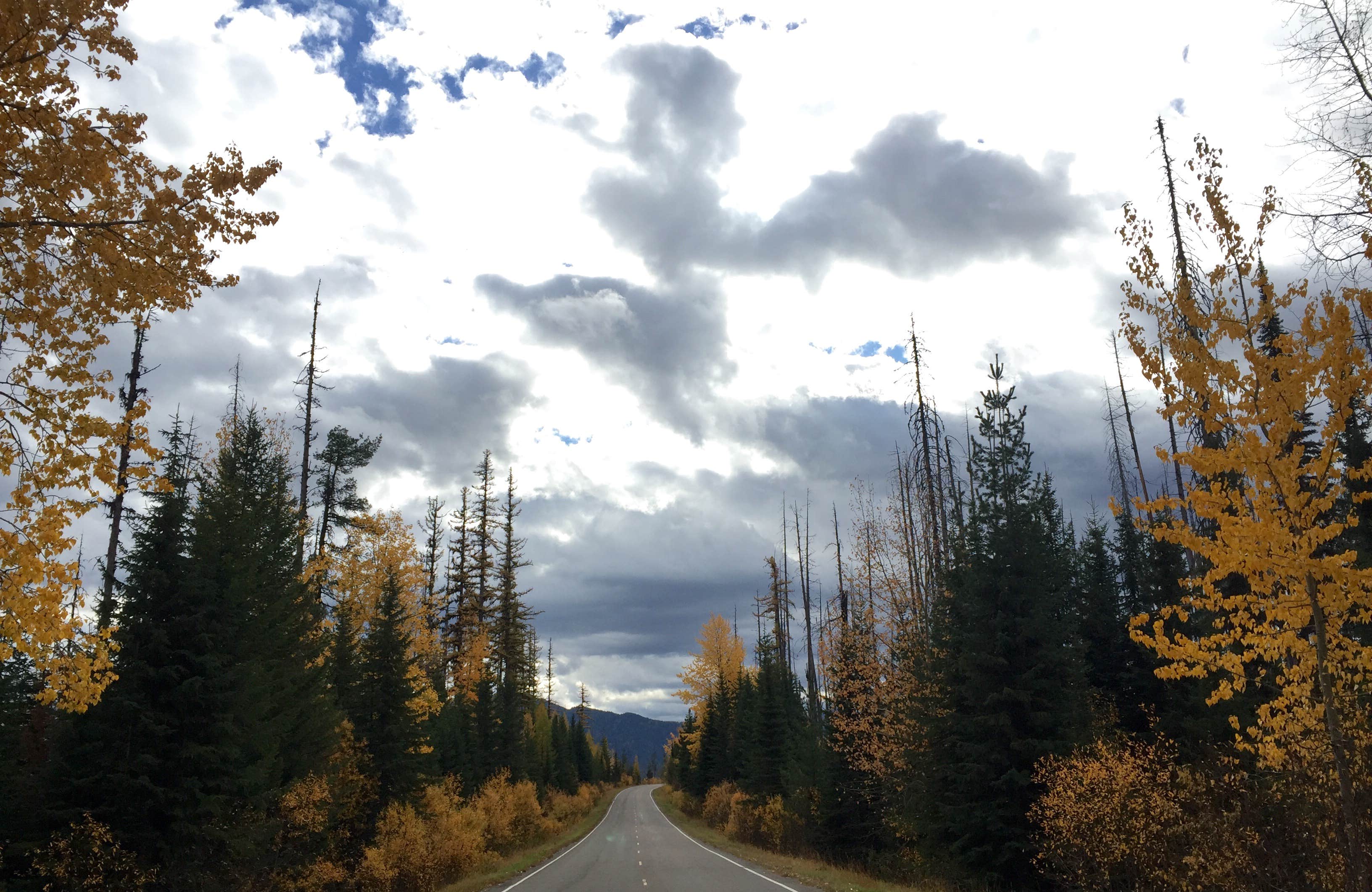 Camper submitted image from Avalanche Campground — Glacier National Park - 4