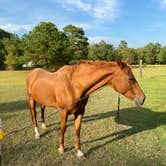 Review photo of Spacious Skies Sandy Run by Stuart K., December 26, 2024