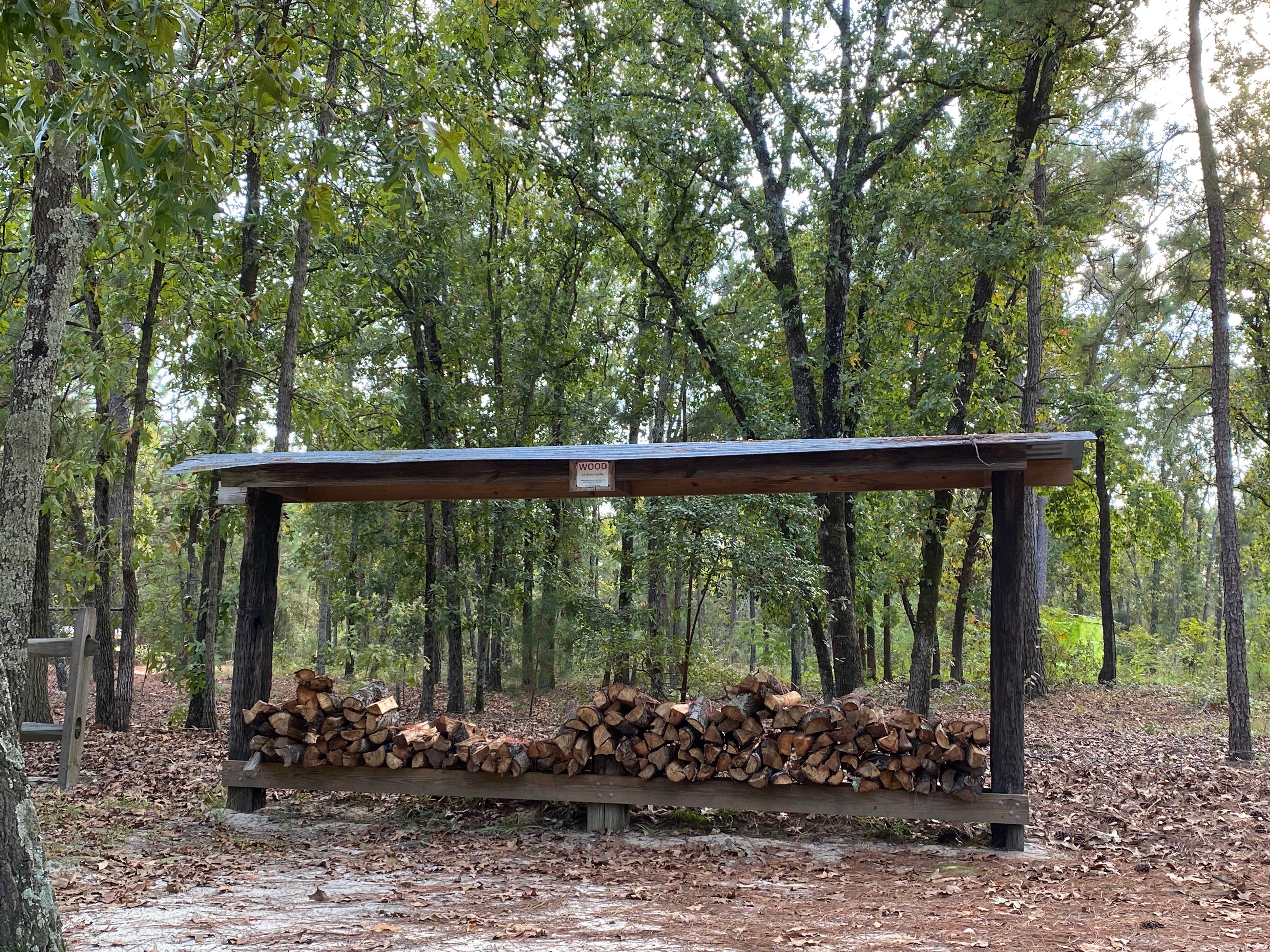 Camper-submitted photo at Spacious Skies Sandy Run near Fayetteville, NC