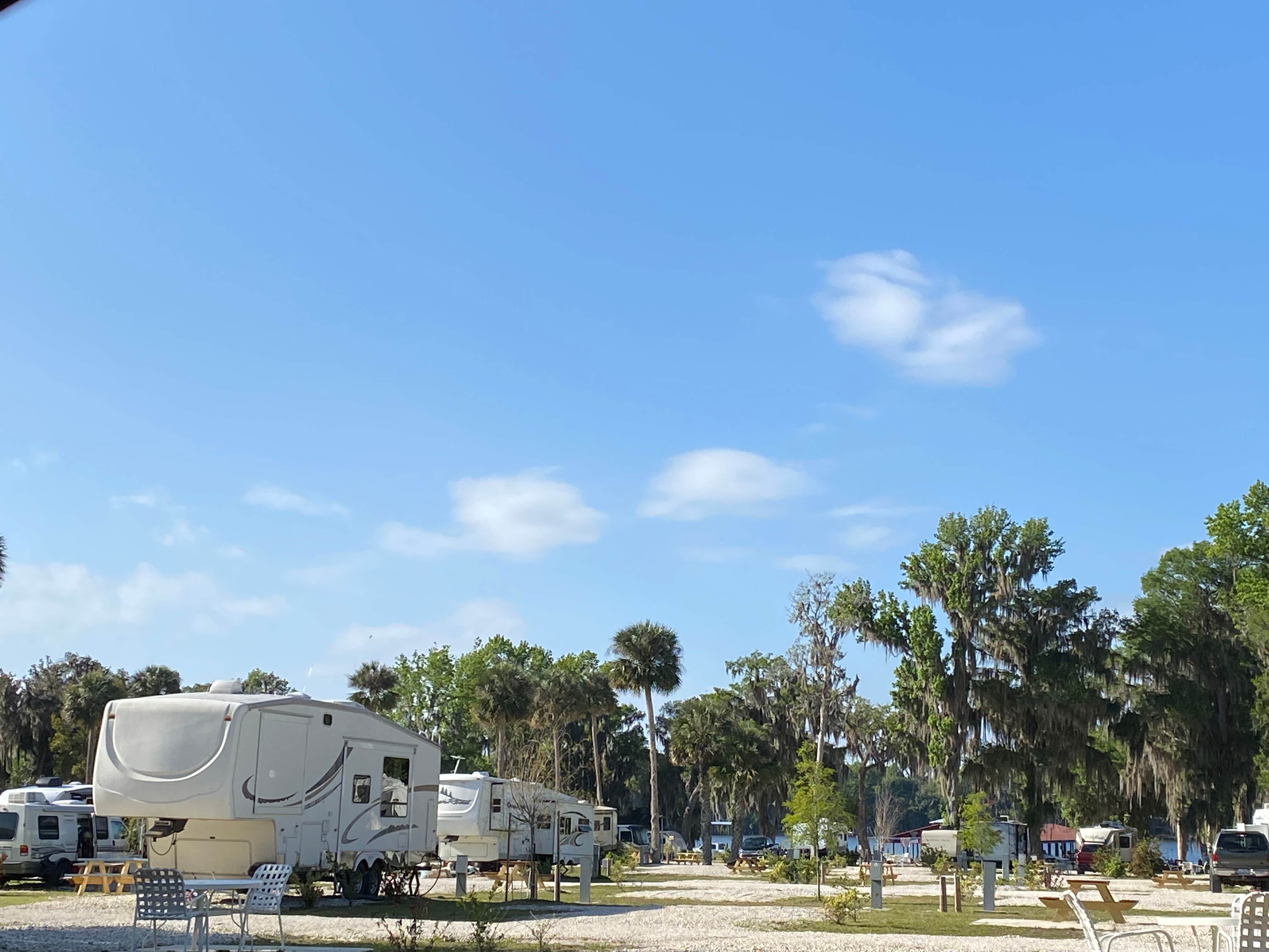 Camping near Pine Island RV & Marina: Port Cove RV Resort, Georgetown, Florida