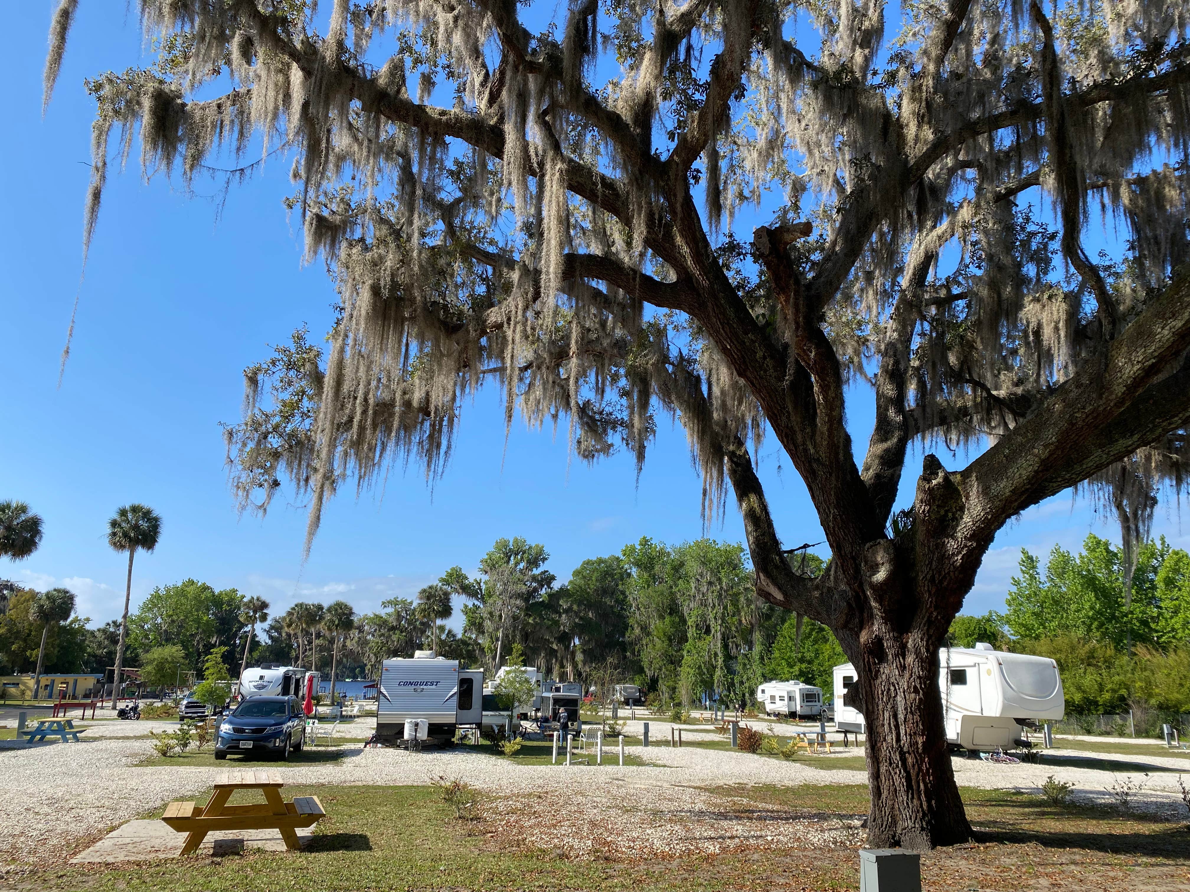 Camper-submitted photo at Port Cove RV Resort near Pomona Park, FL