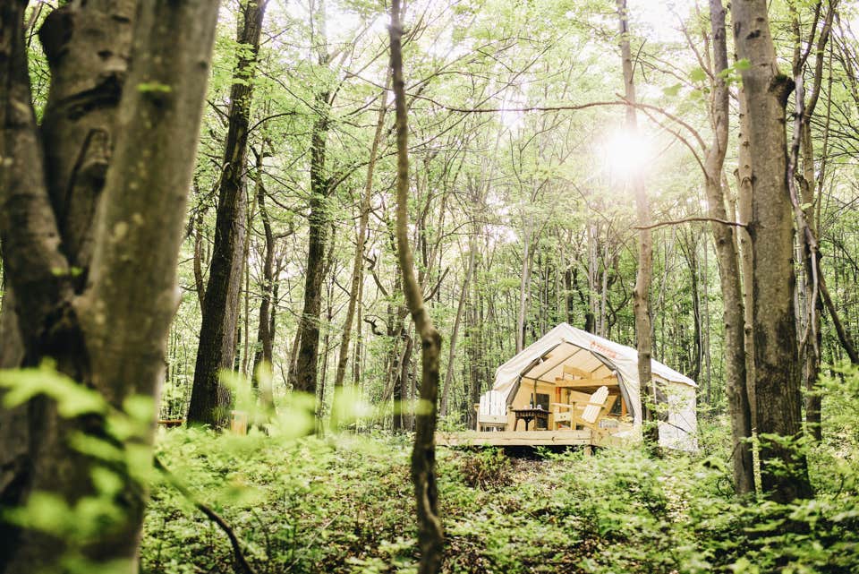 The Dyrt's photo of glamping accommodations at Whippoorwill Woods near Jim Thorpe, PA