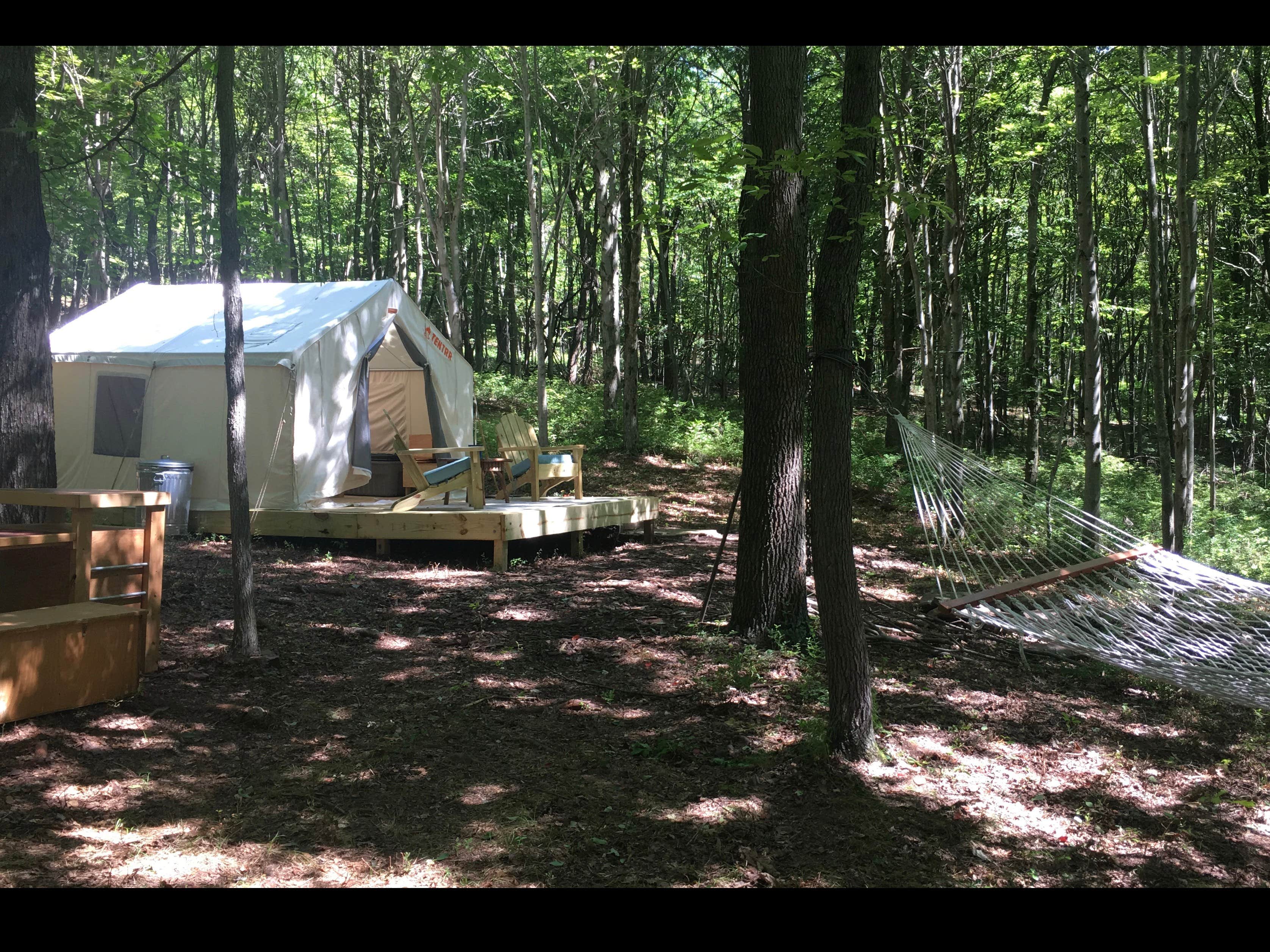 The Dyrt&#x27;s photo at Whippoorwill Woods near Slatington, PA