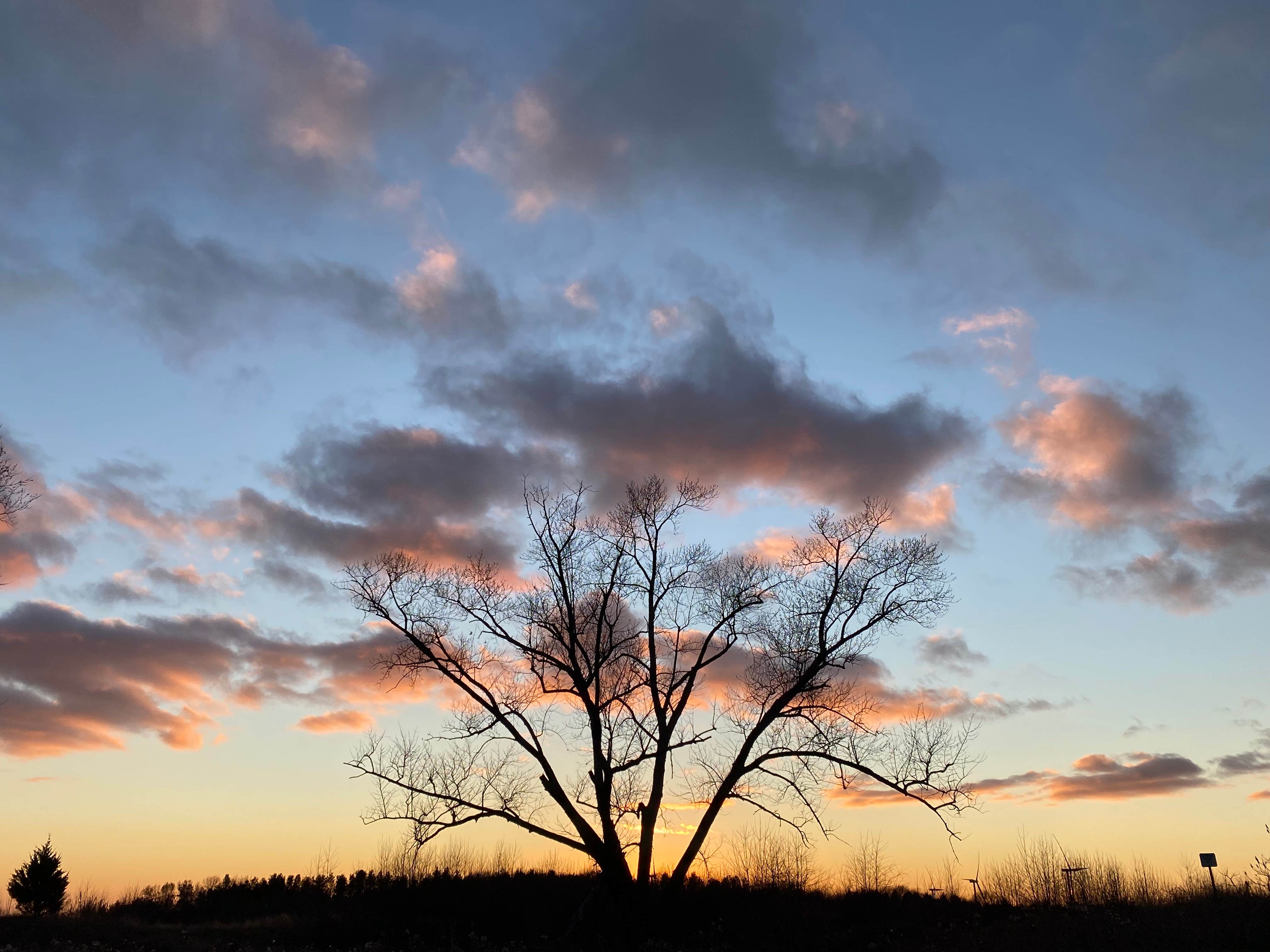 Camper-submitted photo at Green River State Wildlife Area near Rock Falls, IL