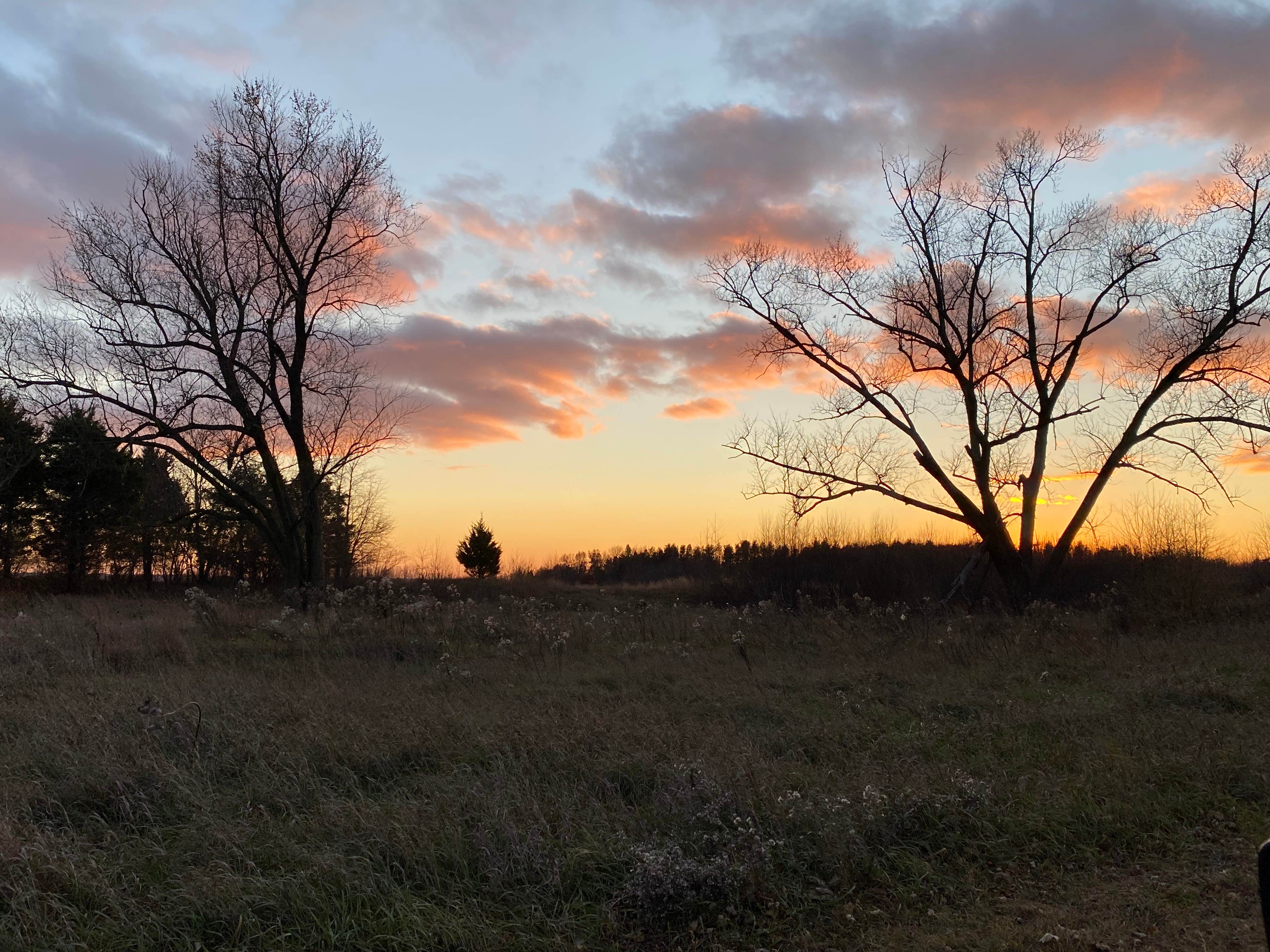 Camper-submitted photo at Green River State Wildlife Area near Rock Falls, IL