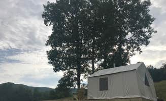 The Dyrt's photo at Five Sisters near Perkinsville, VT