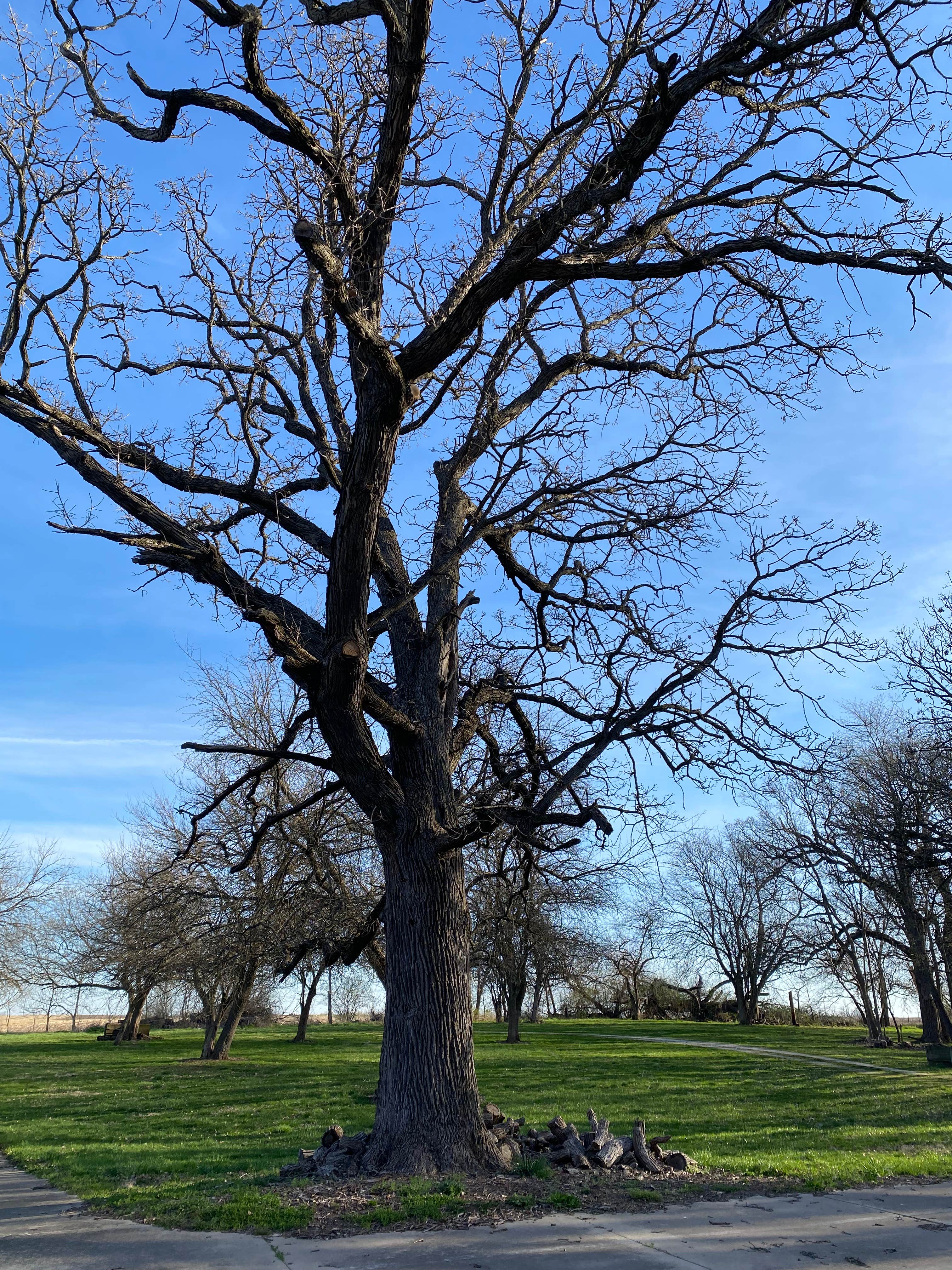 Camper-submitted photo at Matthiessen State Park Equestrian Campground — Matthiessen State Park near North Utica, IL