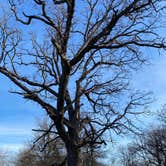 Review photo of Matthiessen State Park Equestrian Campground — Matthiessen State Park by Stuart K., December 27, 2024