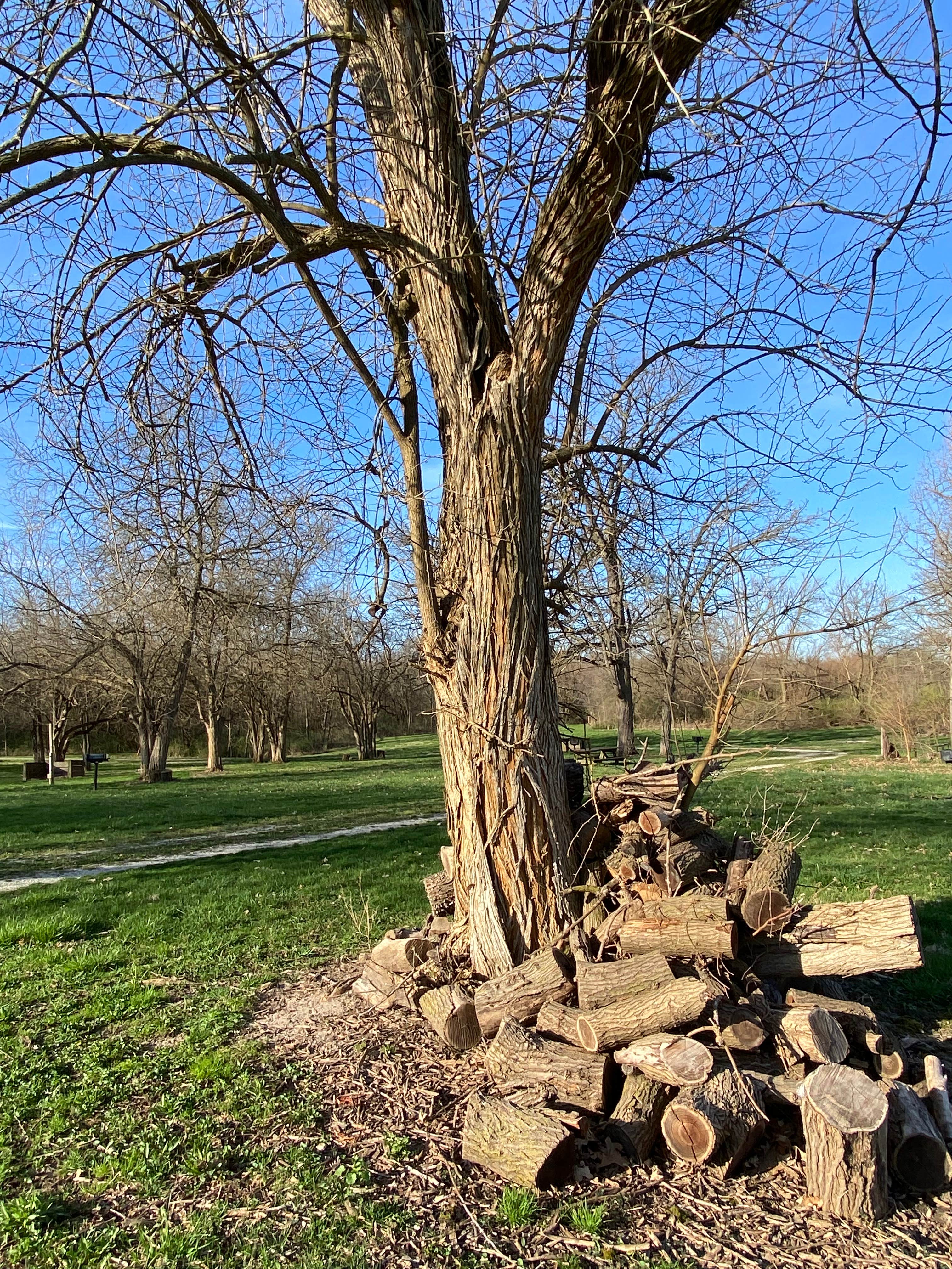 Camper submitted image from Matthiessen State Park Equestrian Campground — Matthiessen State Park - 1