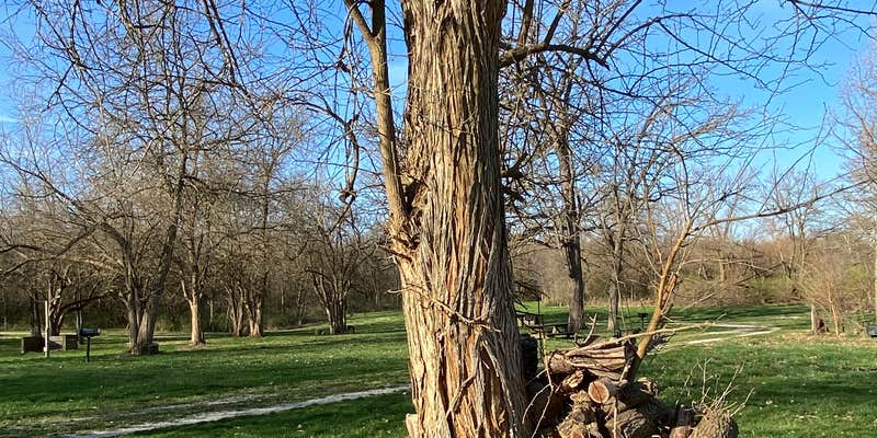 Camper submitted image from Matthiessen State Park Equestrian Campground — Matthiessen State Park