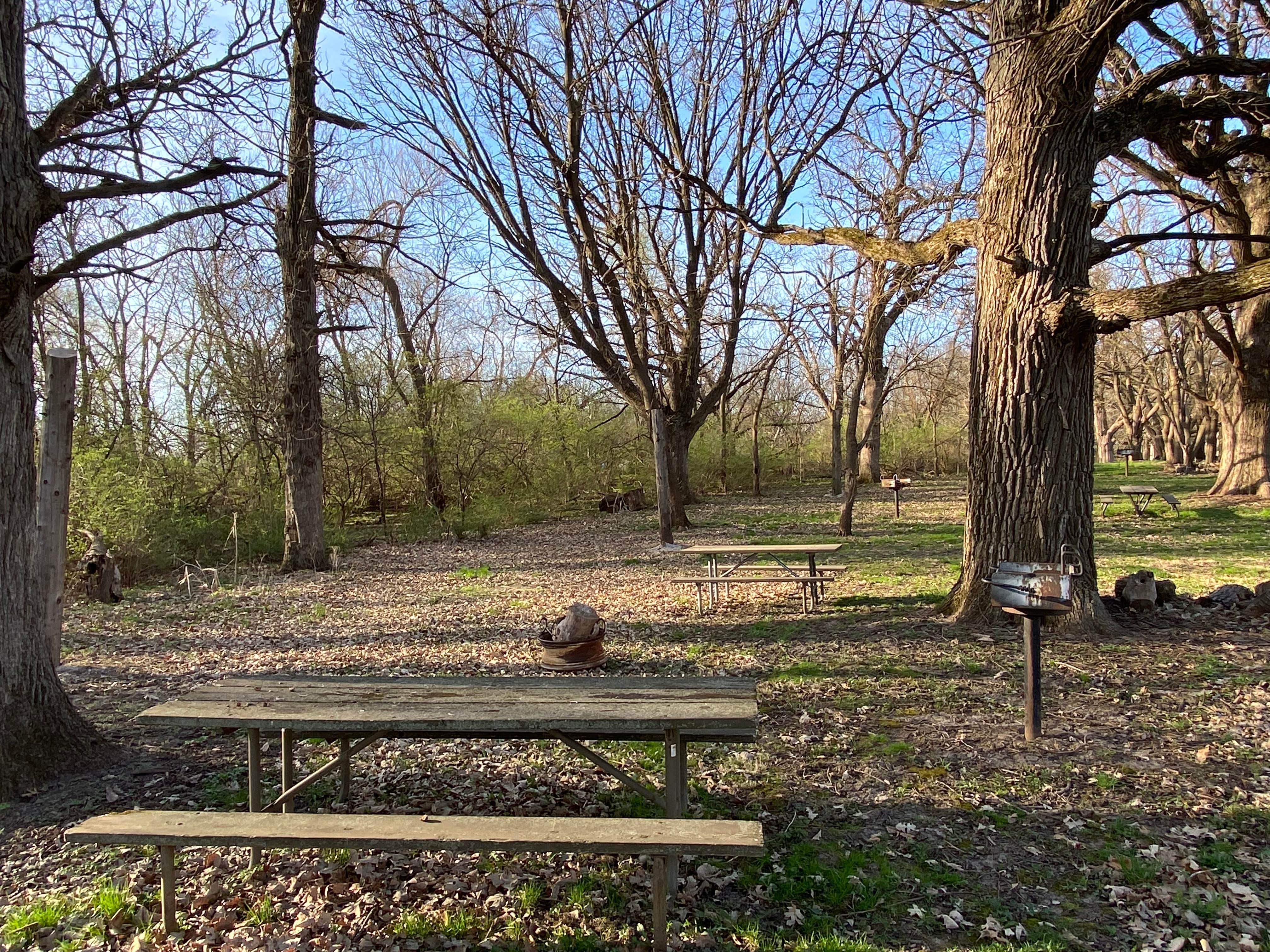 Stuart K.'s photo of camping with pets at Matthiessen State Park Equestrian Campground — Matthiessen State Park near Pontiac, IL