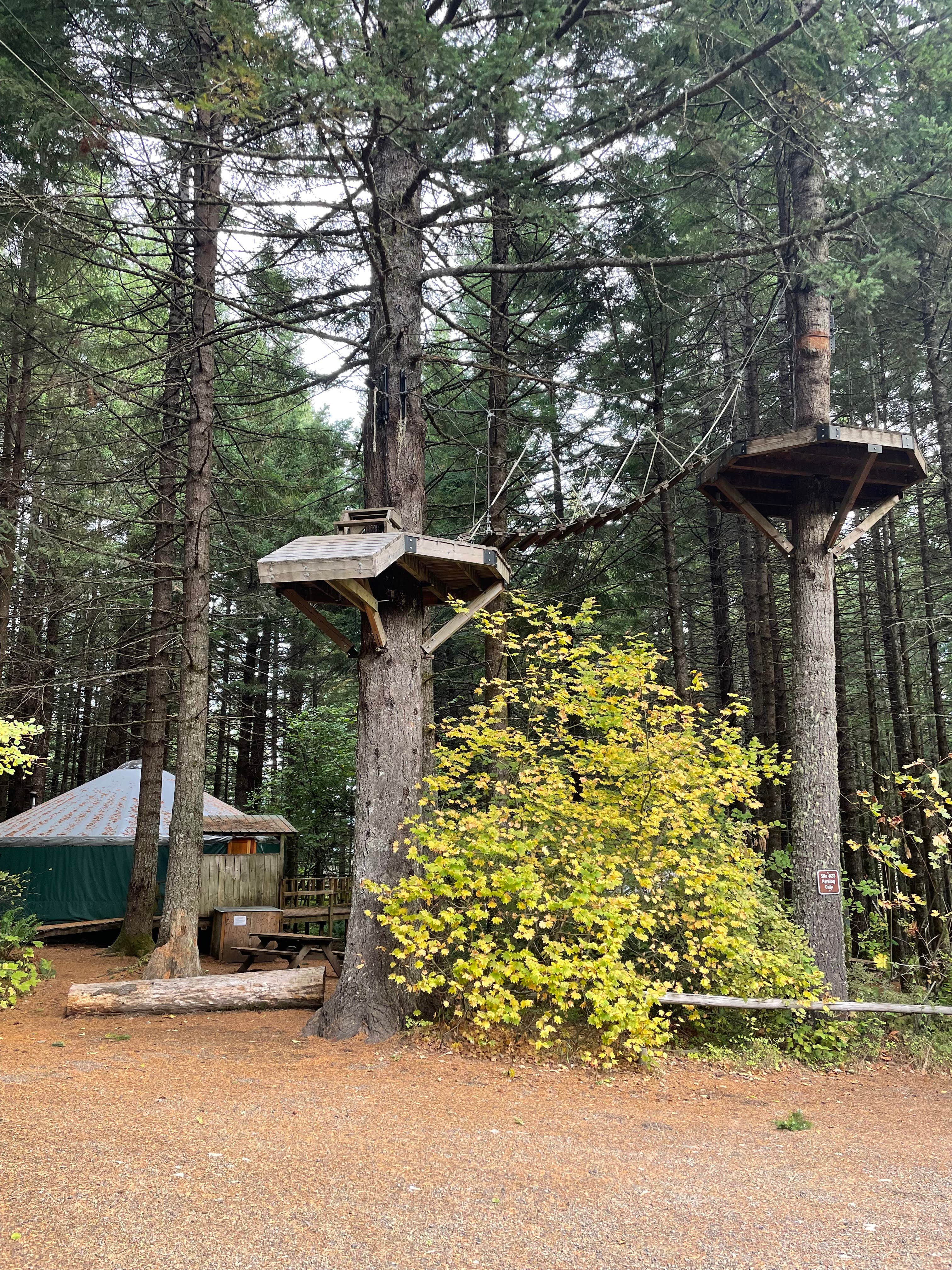Bjorn S.'s photo of glamping accommodations at Camp Dakota near Foster, OR