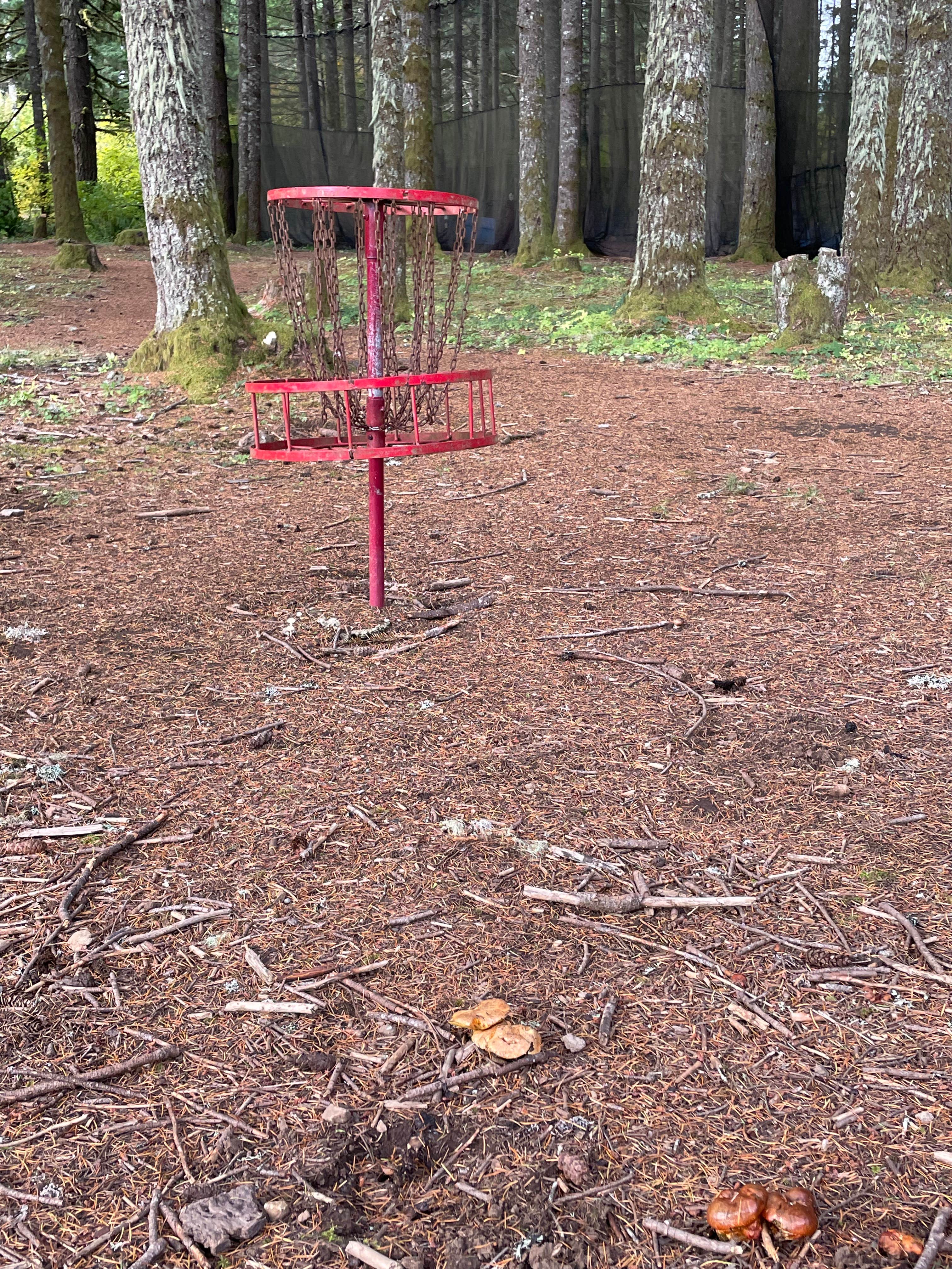 Camper-submitted photo at Camp Dakota near Jefferson, OR