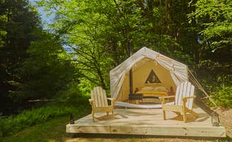 The Dyrt's photo at Sands Creek Camp near Hancock, NY