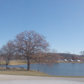 Review photo of Red River Rose RV Resort by Butch K., December 28, 2024