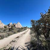 Review photo of Granite Pass Dispersed Roadside Camping — Mojave National Preserve by Michael H., December 29, 2024