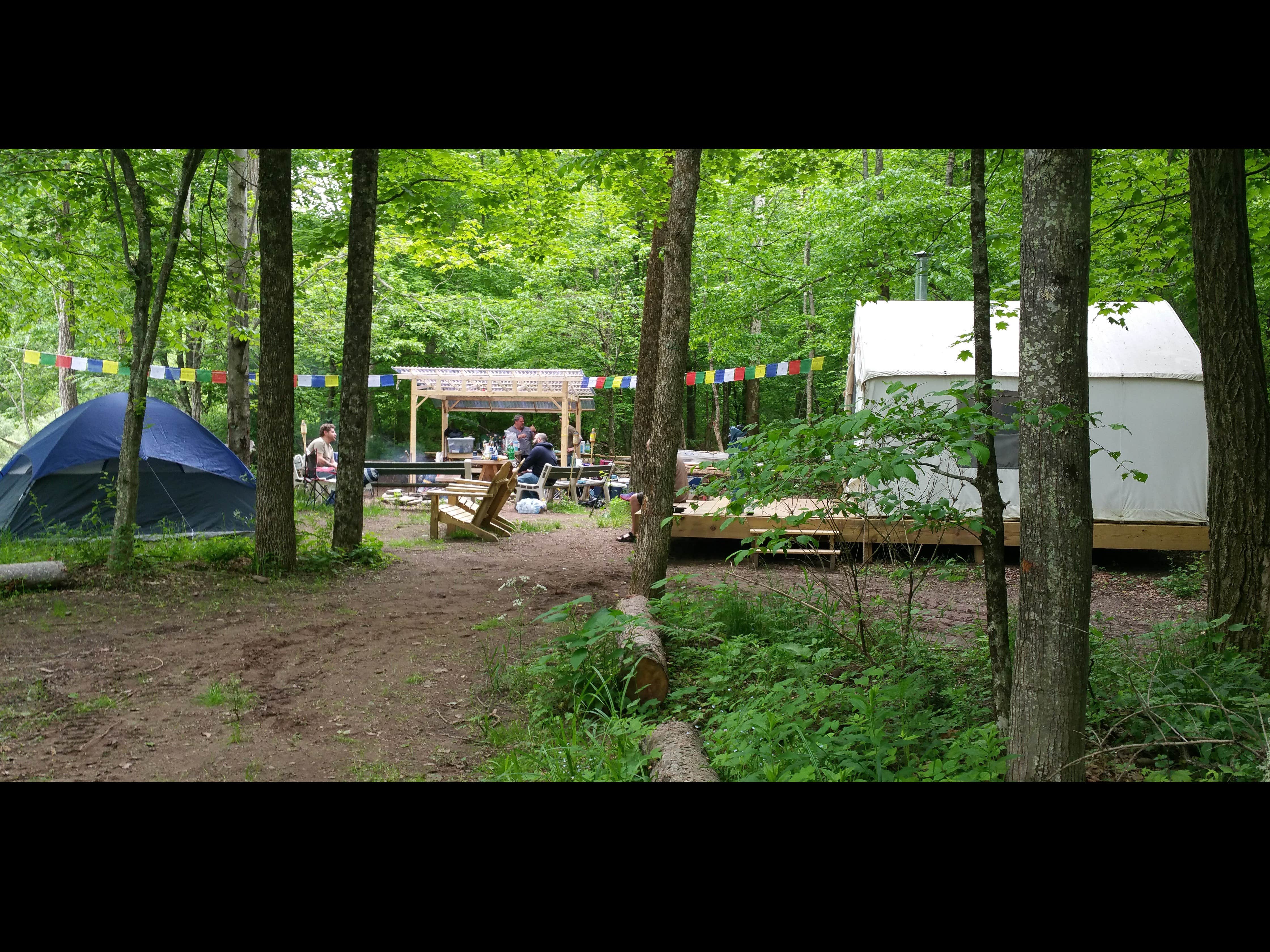 The Dyrt's photo at Upper Esopus Creekside Camp near Shandaken, NY